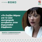 Νάντια Γιαννακοπούλου: «Το Σχέδιο Νόμου για τα ζώα συντροφιάς αντιβαίνει στην Ευρωπαϊκή Σύμβαση»