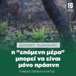 Δασικές πυρκαγιές: η "επόμενη μέρα" μπορεί να είναι μόνο πράσινη